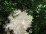 image of grave number 739566